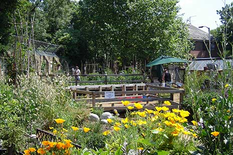 Los jardines más bonitos y menos conocidos de Londres King Henrys Walk Garden Flores amarillas y naranjas dentro del King Henrys Walk Garden de Londres