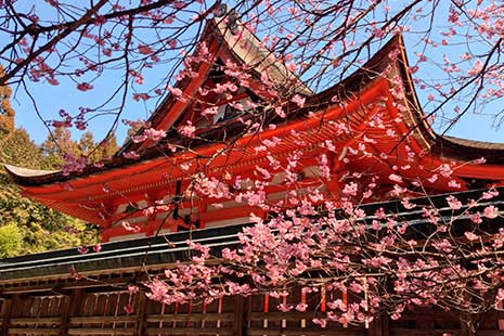 Qué época es mejor para viajar a cada continente Japón Vista del tejado de un santuario sintoísta de Japón con un cerezo en flor