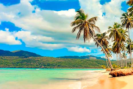 Qué época es mejor para viajar a cada continente Islas Seychelles Playa con palmeras en Seychelles