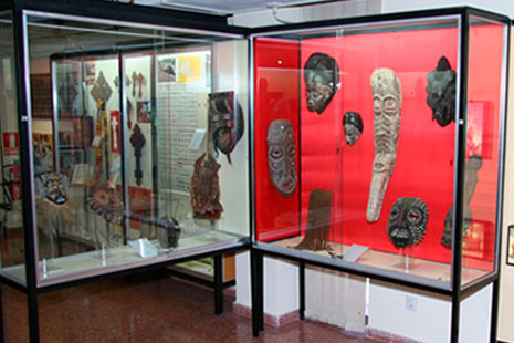 Vitrinas del Museo Africano
