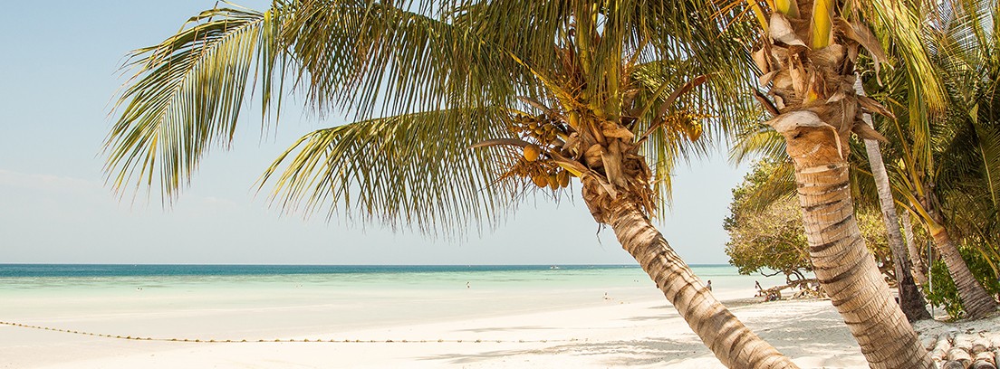 Top 7 destinos paradisíacos para viajar mar y cielo azul Palmera cerca de la playa