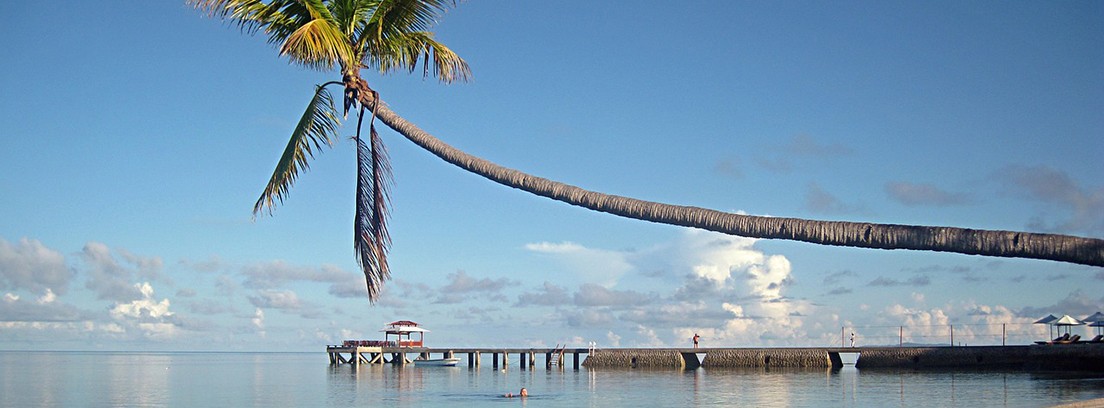 destinos para el verano 2018 Indonesia Palmera y muelle sobre el mar