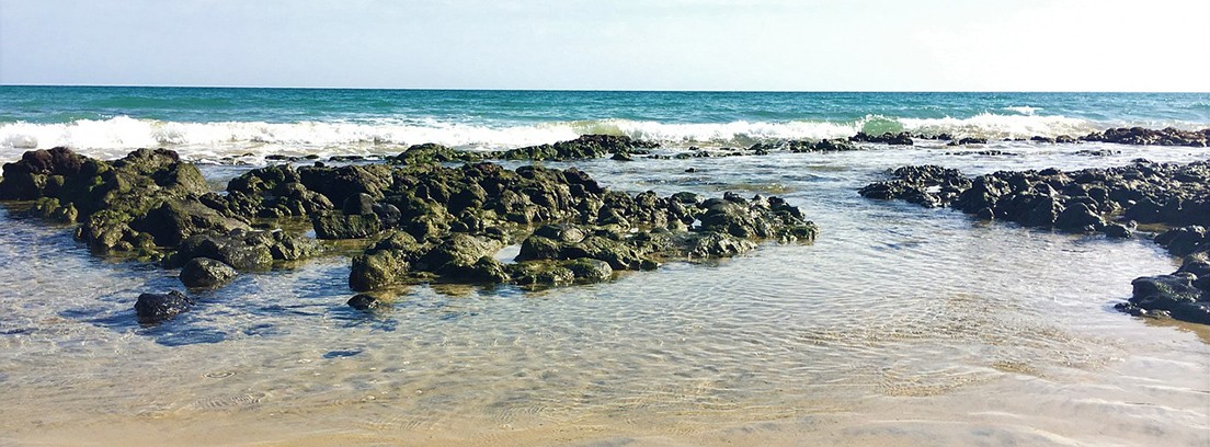 destinos para el verano 2018 Ilas canarias Playa de Fuerteventura en Tenerife