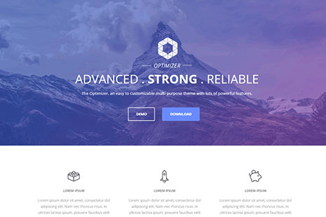 Tema Optimizer de WordPress