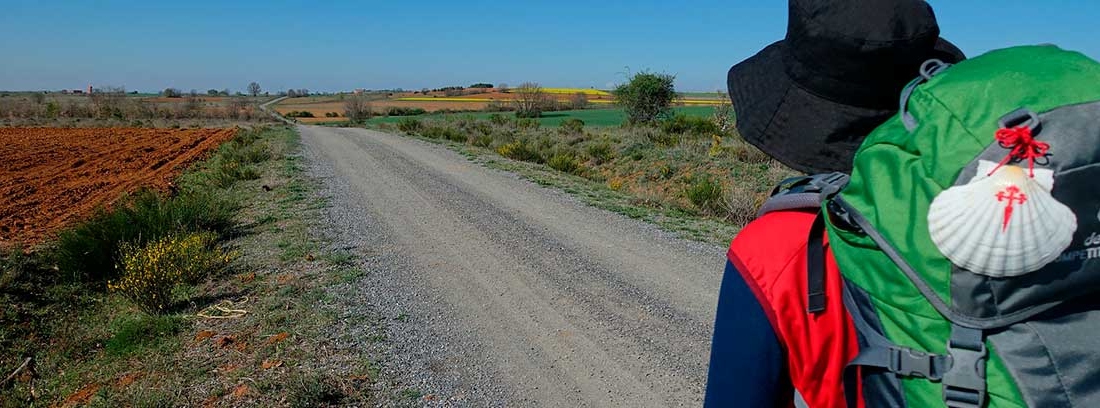 Peregrino haciendo el Camino de Santiago con la mochila en la espalda.